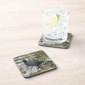 Coot on the Riverbank Cork Coaster コースター (右側)