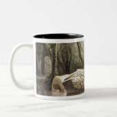 Copan、グアテマラの壊れたマヤの偶像 ツートーンマグカップ (左)