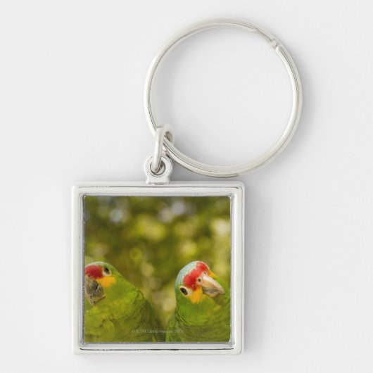 Copan、ホンジュラス キーホルダー (正面)