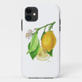Coque IPhone 11 Citron “Limonier ferraris” Case-Mate iPhoneケース (裏面)