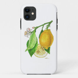 Coque IPhone 11 Citron “Limonier ferraris” iPhone 11 ケース