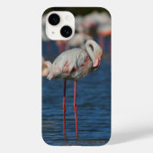 Coque iphone flamant rose Case-Mate iPhoneケース (裏面)