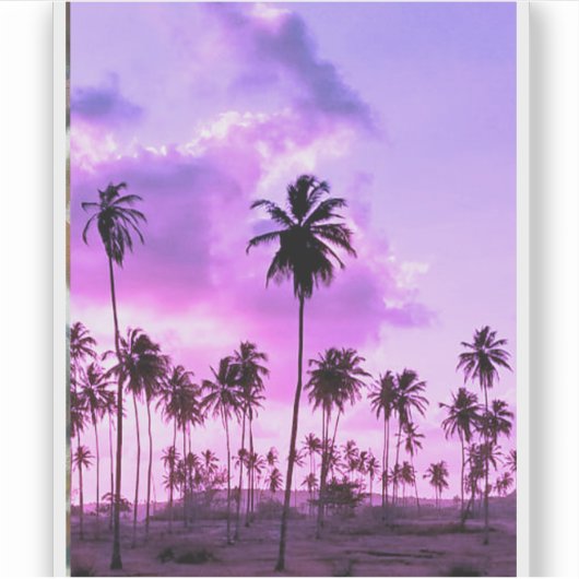 coqueiral ao entardecer シール (正面)