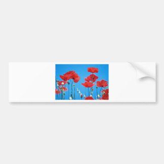 Coquelicots de Provence バンパーステッカー