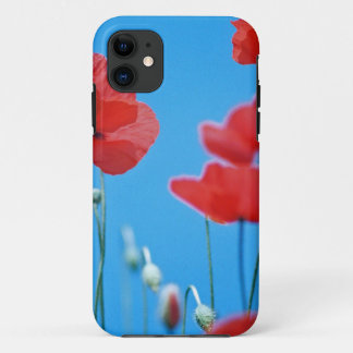 Coquelicots de Provence iPhone 11 ケース