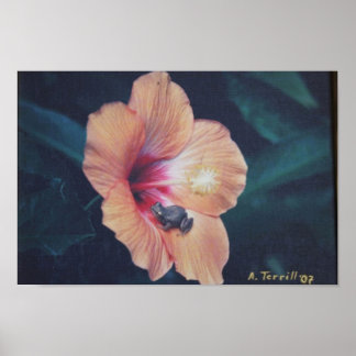 COQUIポスター ポスター