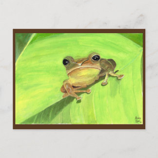 Coqui de Puerto Rico Postcard ポストカード