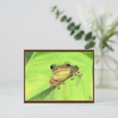 Coqui de Puerto Rico Postcard ポストカード (スタンド正面)