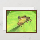 Coqui de Puerto Rico Postcard ポストカード (正面/裏面)