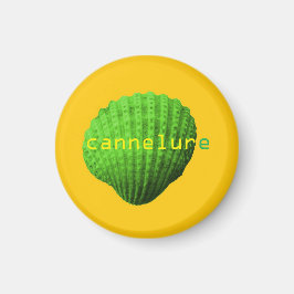 coquillage cannelure マグネット