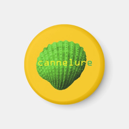 coquillage cannelure マグネット (正面)