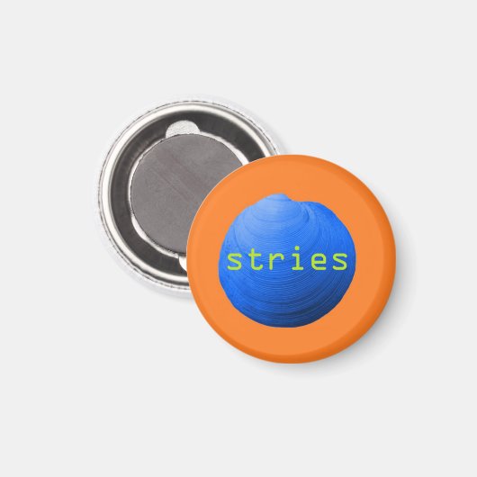 Coquillage. Stries マグネット (正面/裏面)