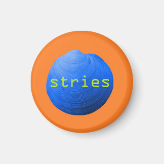 Coquillage. Stries マグネット