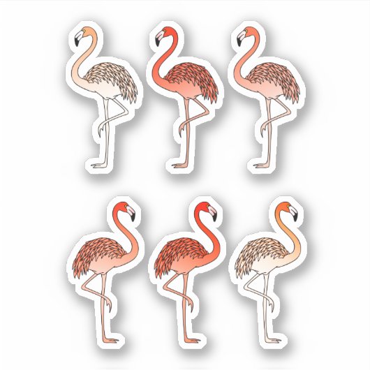 Coral Color Flamingos シール (正面)