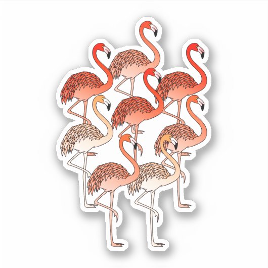 Coral Color Flamingos シール (正面)