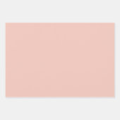 Coral Gingham ラッピングペーパーシート (正面3)