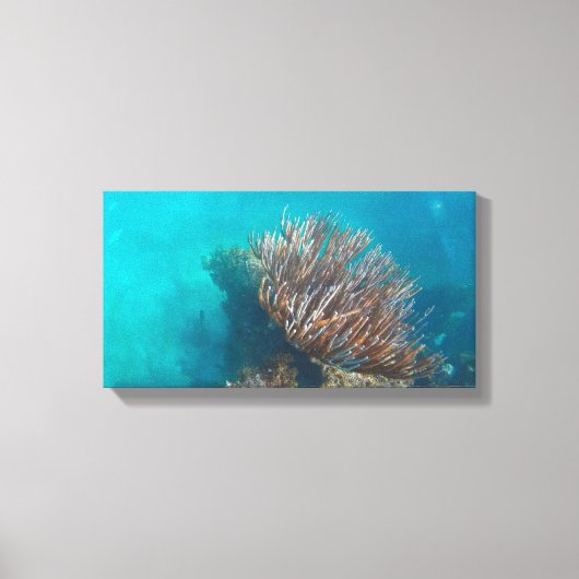 CORAL ON CANVAS 20 "x 16" キャンバスプリント (正面)