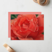 Coral Pink Rose Flower Art Note Card Set ノートカード (正面/裏面インサイチュ)