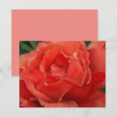 Coral Pink Rose Flower Art Note Card Set ノートカード (正面/裏面)