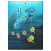 Coral Reef clipboard クリップボード (裏面)