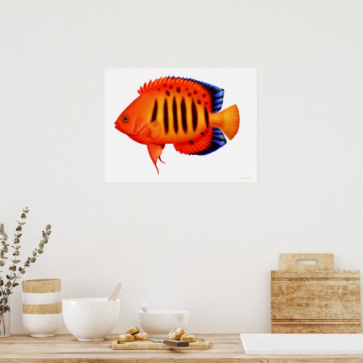 Coral Reef Flame Angelfish Poster ポスター (キッチン)