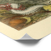 Coral Snails Marine Animals Art Print ポスター (角)