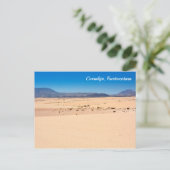 Coralejo park, Fuerteventura – はがき (スタンド正面)