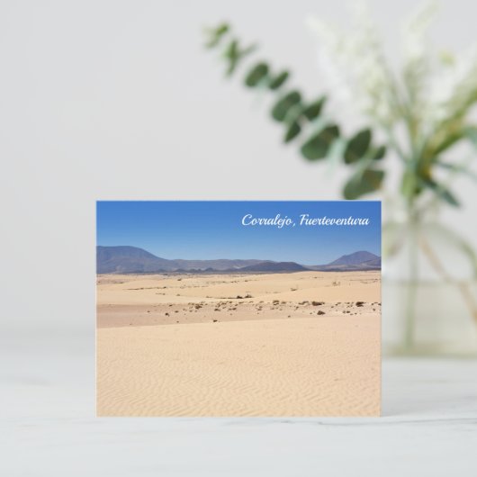 Coralejo park, Fuerteventura – はがき (スタンド正面)