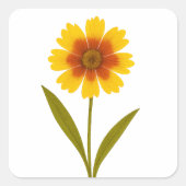 Coreopsis – 元気 スクエアシール (正面)