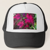 Coreusマクロ キャップ (正面)