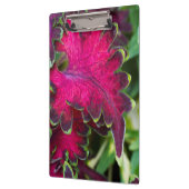 Coreusマクロ クリップボード (左)