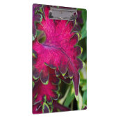 Coreusマクロ クリップボード (右)