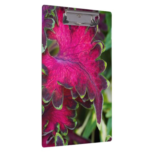 Coreusマクロ クリップボード (右)