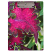 Coreusマクロ クリップボード (正面)