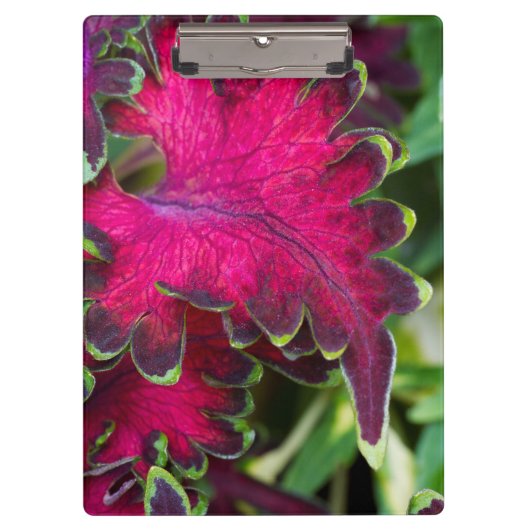 Coreusマクロ クリップボード (正面)