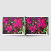 Coreusマクロ ゲストブック (全面)