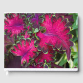 Coreusマクロ ゲストブック (正面)