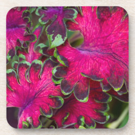 Coreusマクロ コースター