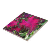 Coreusマクロ タイル (側面)