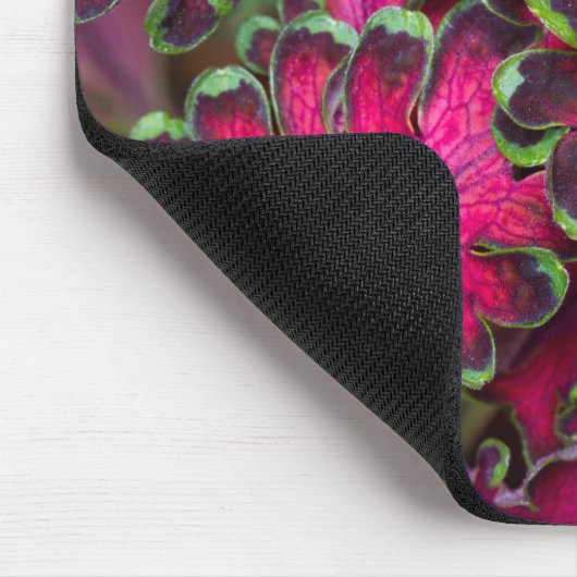 Coreusマクロ マウスパッド (コーナー)