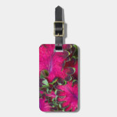 Coreusマクロ ラゲッジタグ (正面縦)