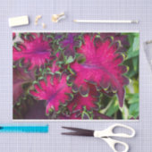 Coreusマクロ 薄葉紙 (クラフト)