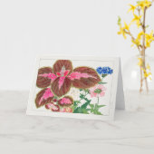 Coreus、Verbena by Tanigami Kona カード (黄色い花)