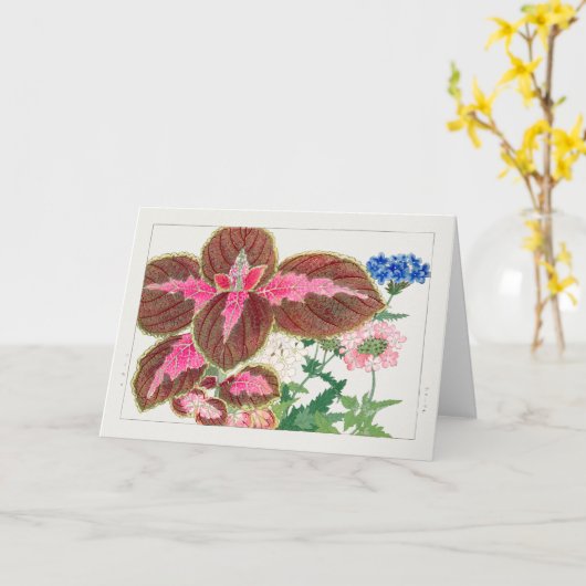 Coreus、Verbena by Tanigami Kona カード (黄色い花)