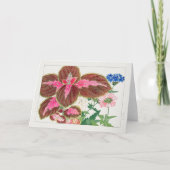 Coreus、Verbena by Tanigami Kona カード (正面)