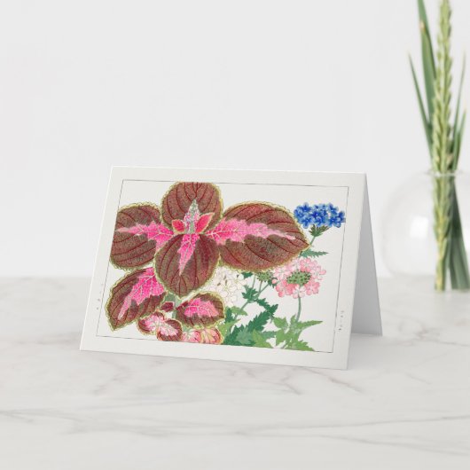 Coreus、Verbena by Tanigami Kona カード (正面)