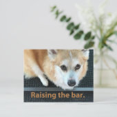 Corgiはがきのバーの掲示 ポストカード (スタンド正面)