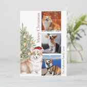 Corgiクリスマスツリーペットドッグフォト シーズンカード (スタンド正面)