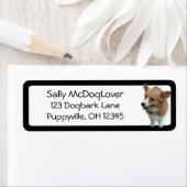 Corgi写真 ラベル (インサイチュ)