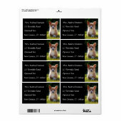 Corgi子犬の名前差出人住所メーリングラベル ラベル (フルシート)